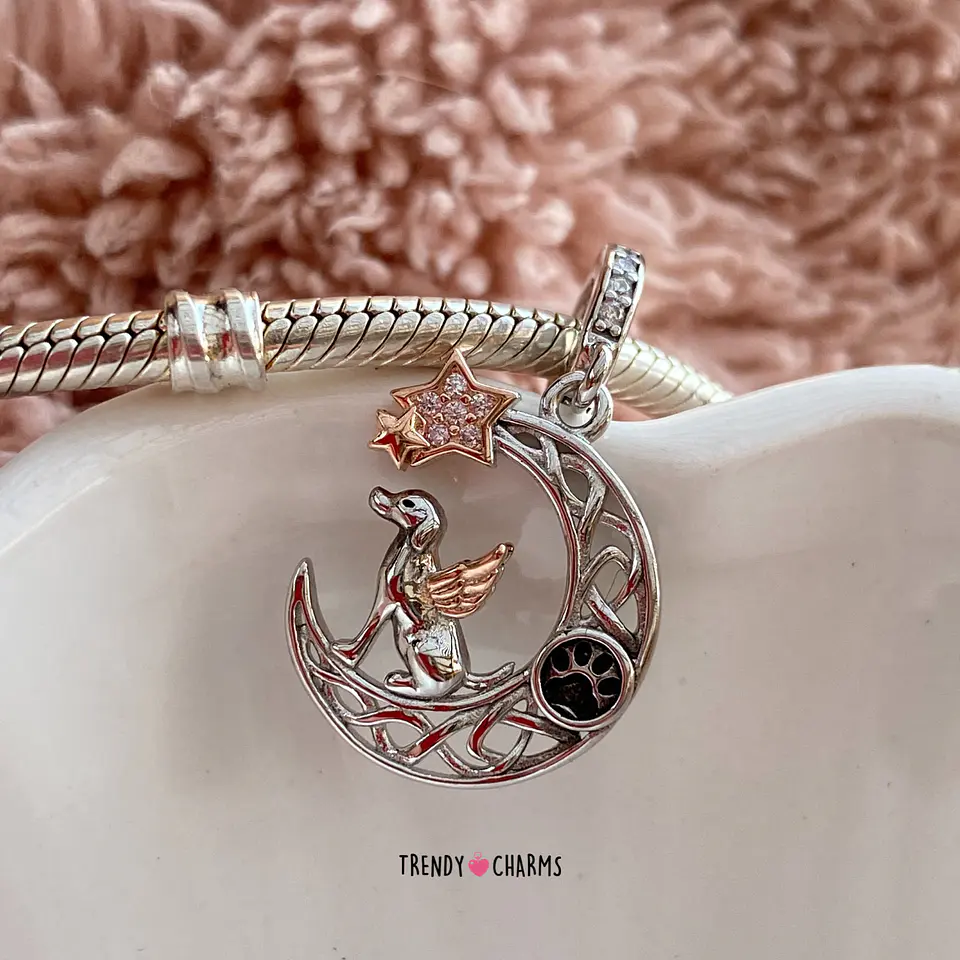 Charm Perrito mi Ángel Plata 925 3