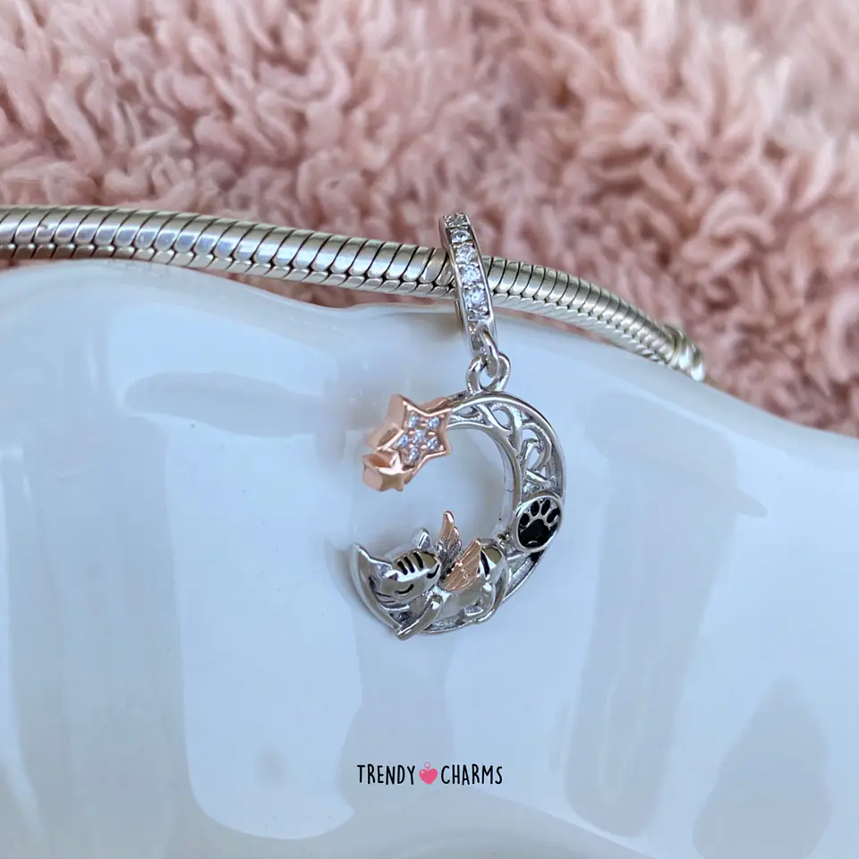 Charm Gato mi Ángel Plata 925 2