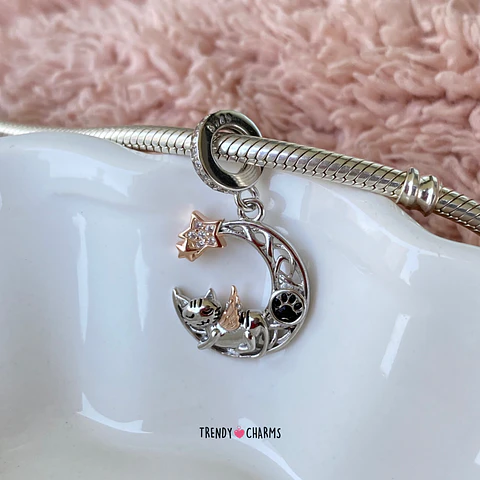 Charm Gato mi Ángel Plata 925
