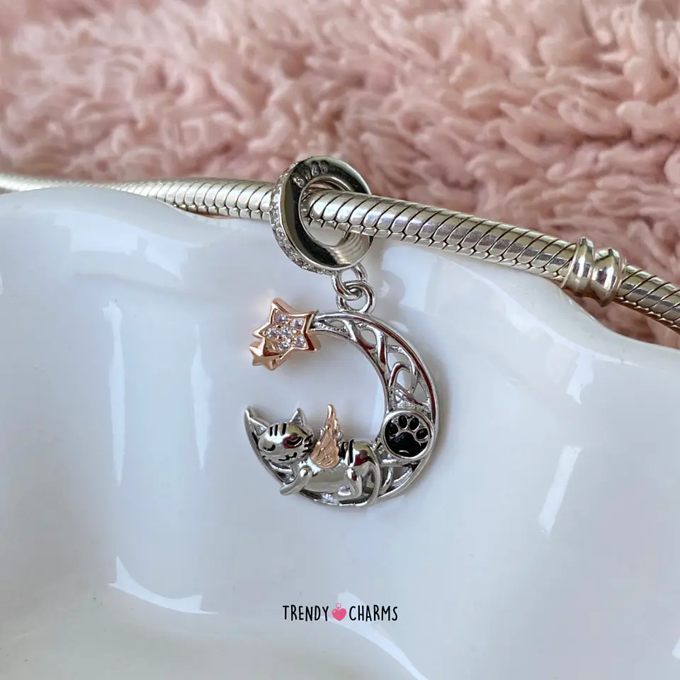 Charm Gato mi Ángel Plata 925 1