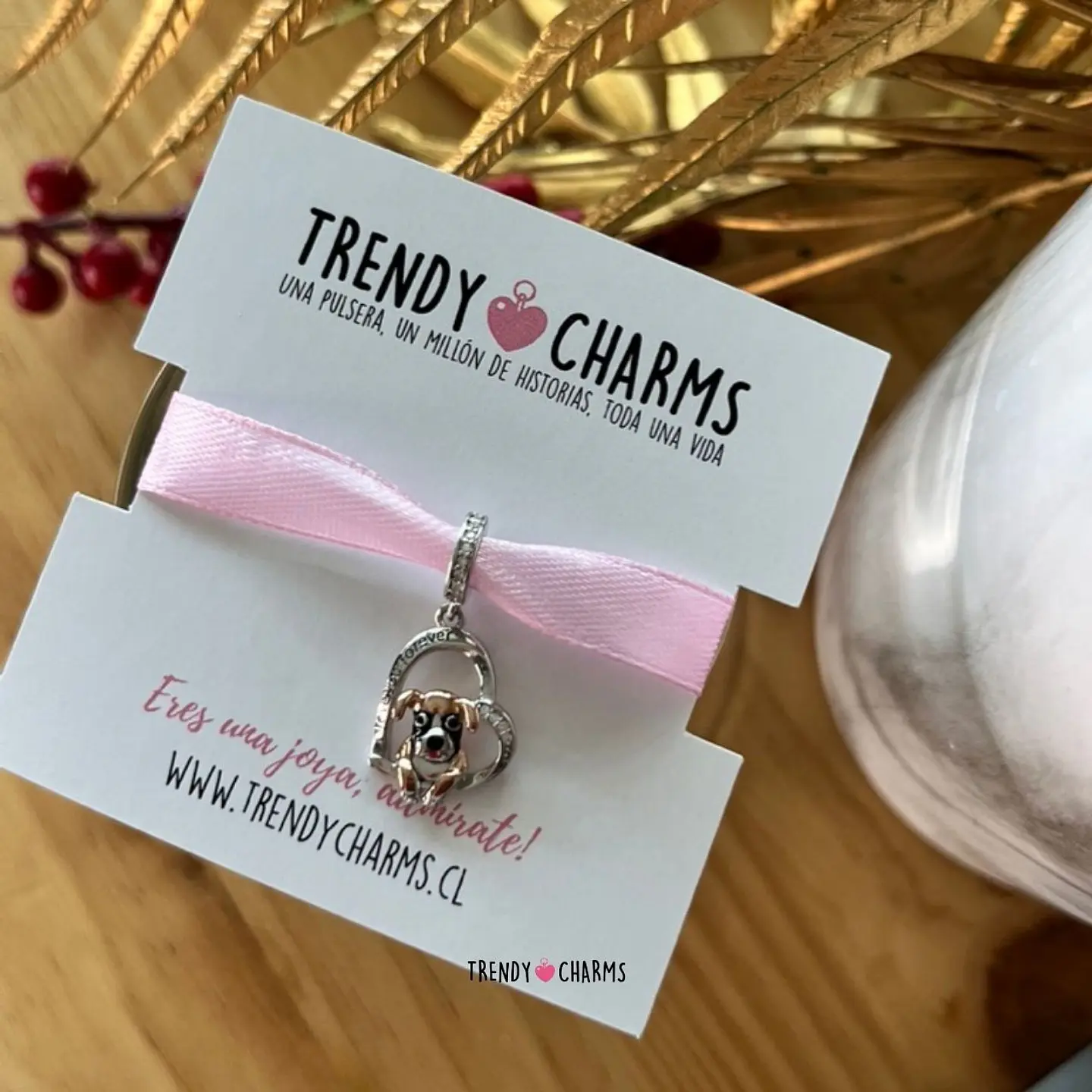 Charm Perro Boxer Te Amo Plata 925 4