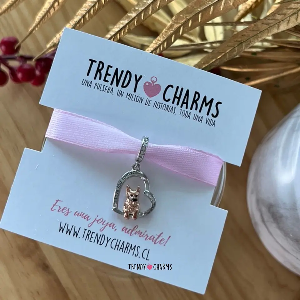 Charm Perro Pastor Alemán Te Amo Plata 925 4