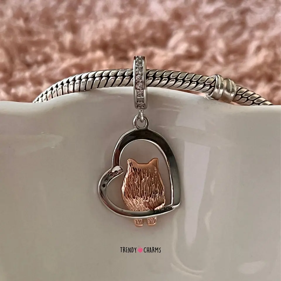 Charm Perro Pomerania Te Amo, Plata 925 4