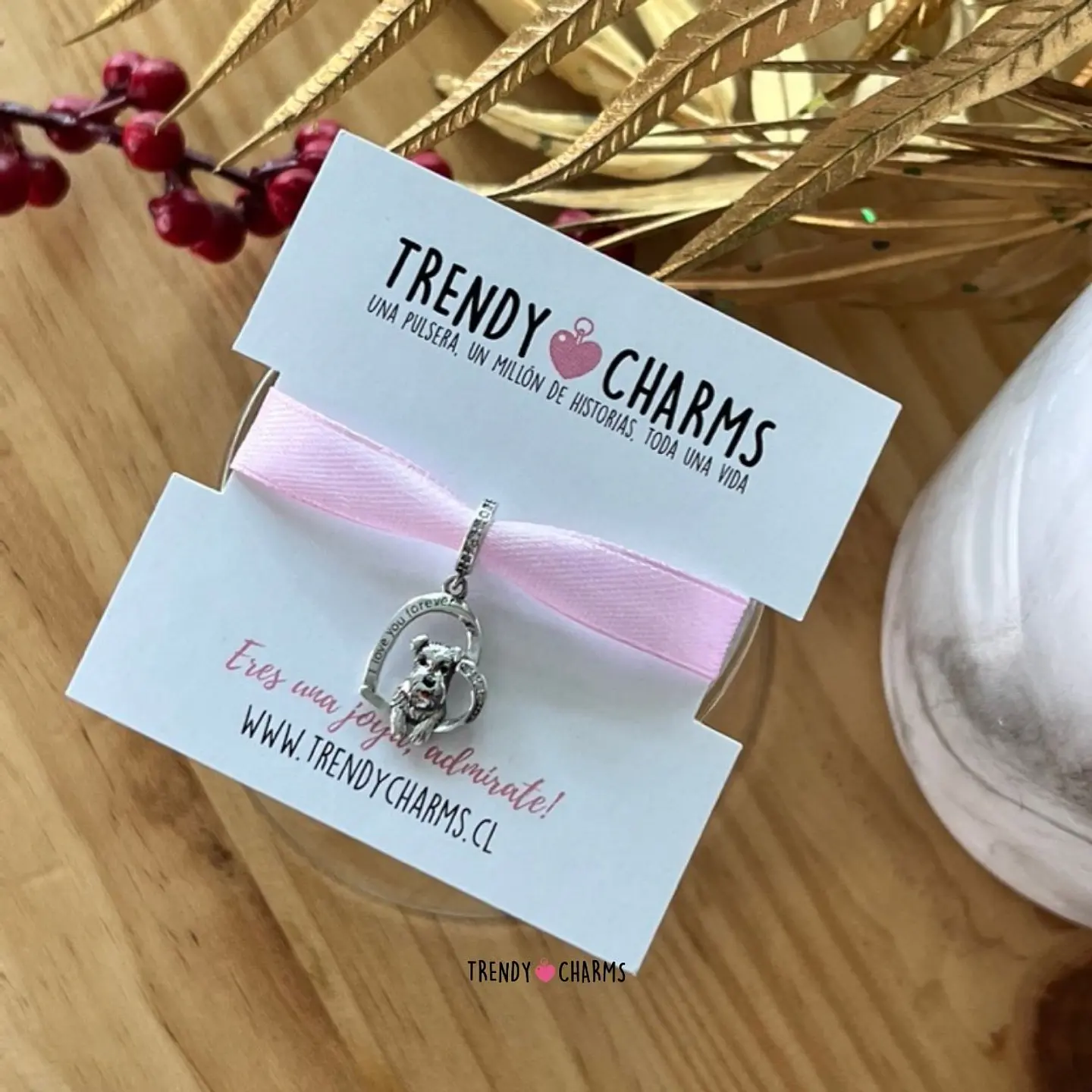 Charm Perro Schnauzer Te Amo, Plata 925 2