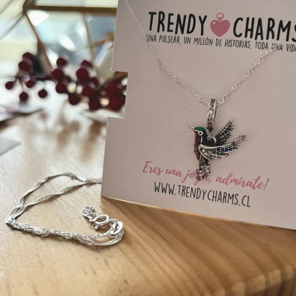 Charm Colibrí Plata 925 6