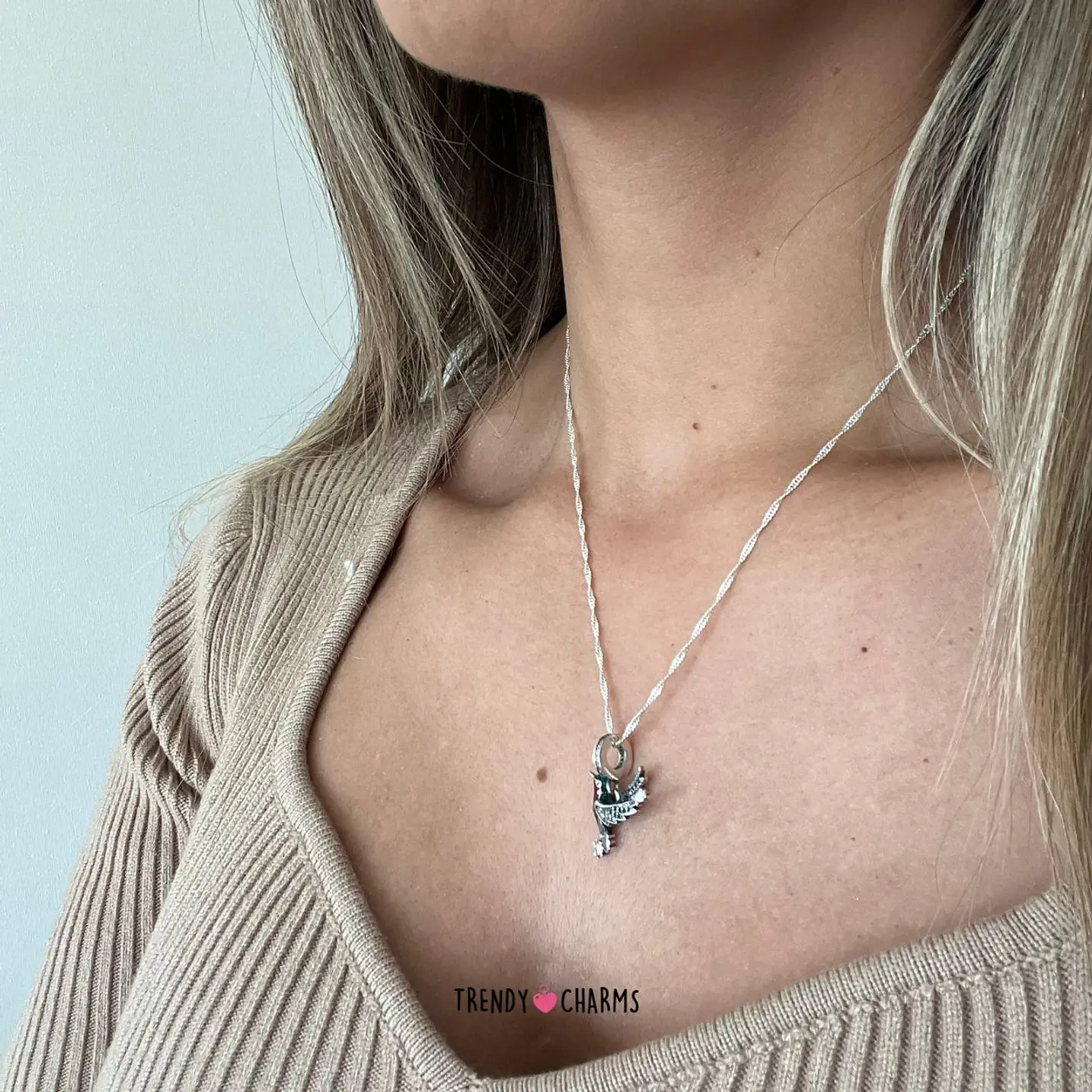 Cadena Roma Plata 925 5