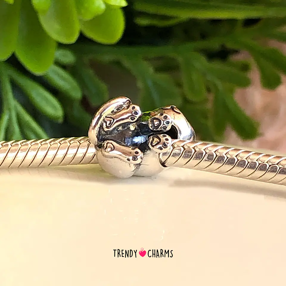 Charm Gato Mi Compañero Plata 925 3