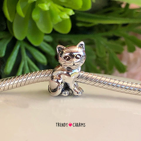 Charm Gato Mi Compañero Plata 925