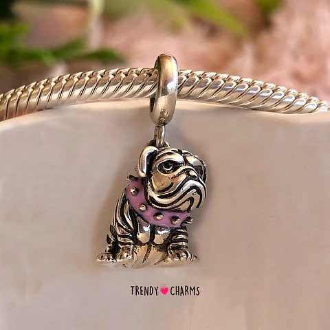 Charm Bulldog Inglés Plata 925