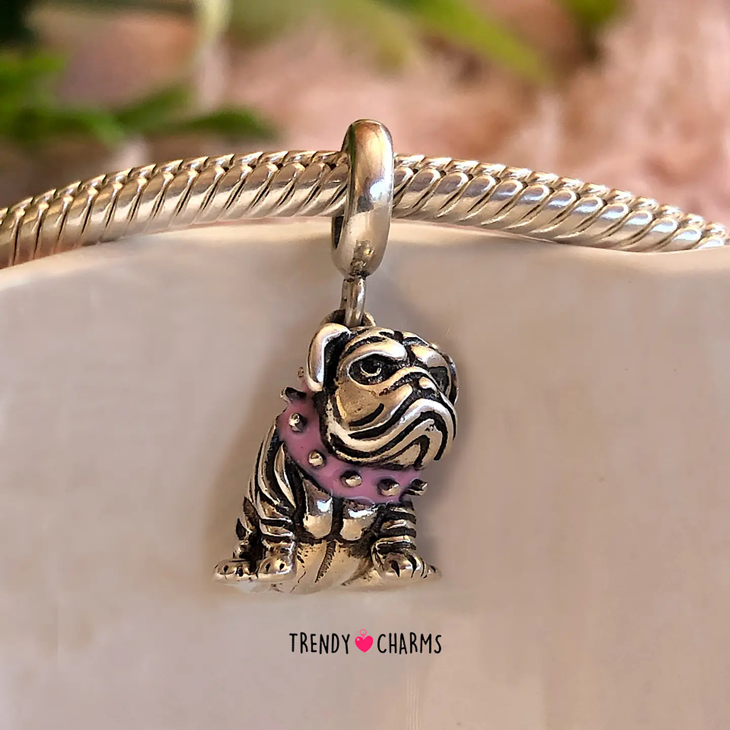 Charm Bulldog Inglés Plata 925 1