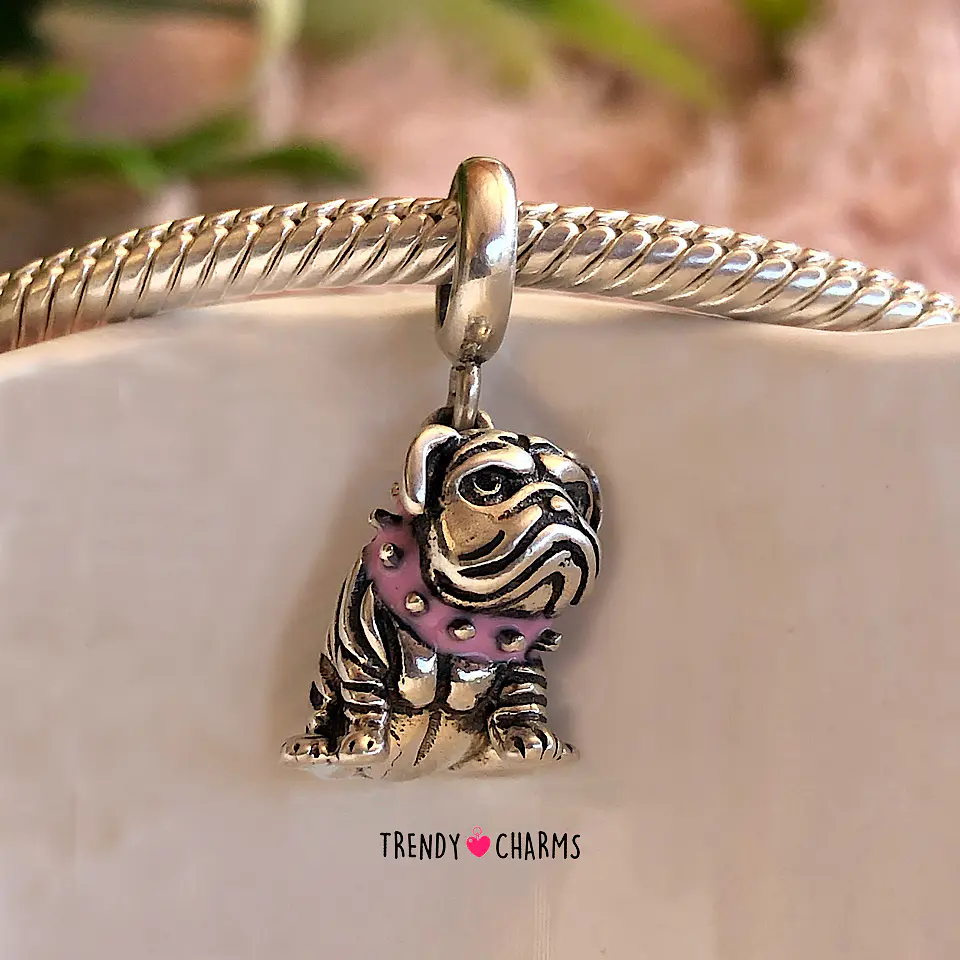 Charm Bulldog Inglés Plata 925 1