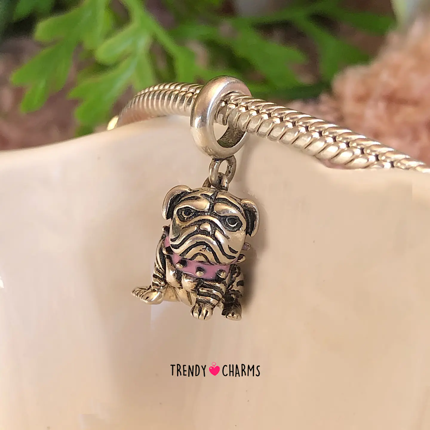 Charm Bulldog Inglés Plata 925 3