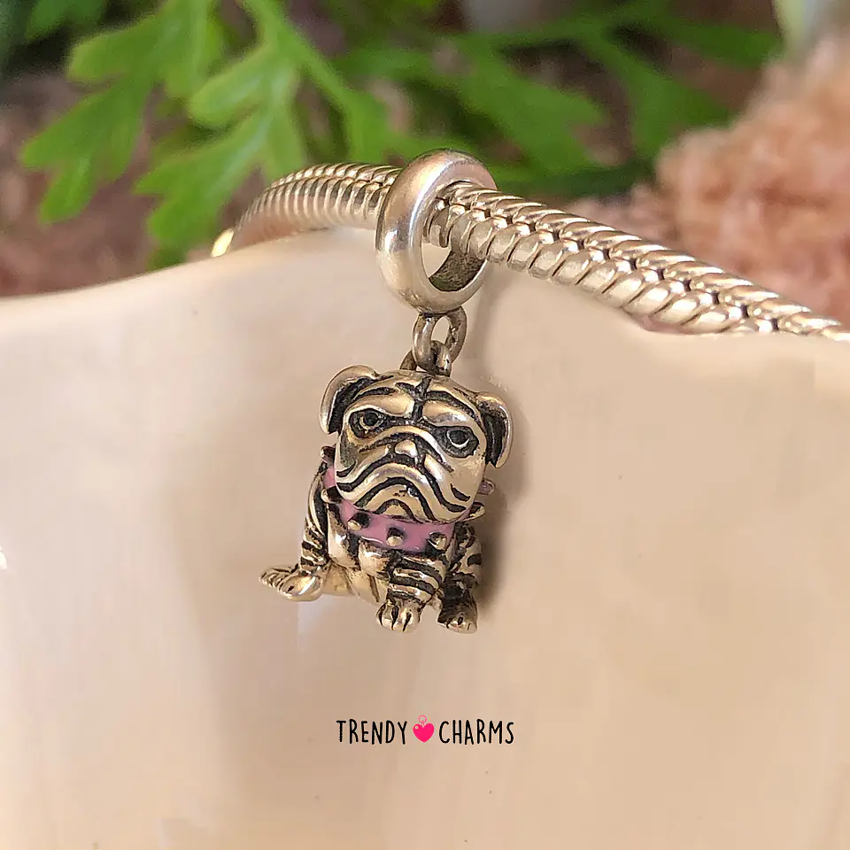 Charm Bulldog Inglés Plata 925 3