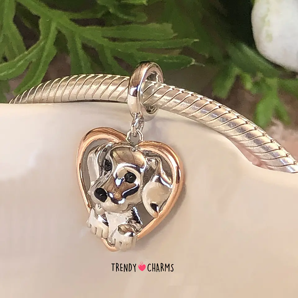 Charm Perro Labrador / Golden Plata 925 2