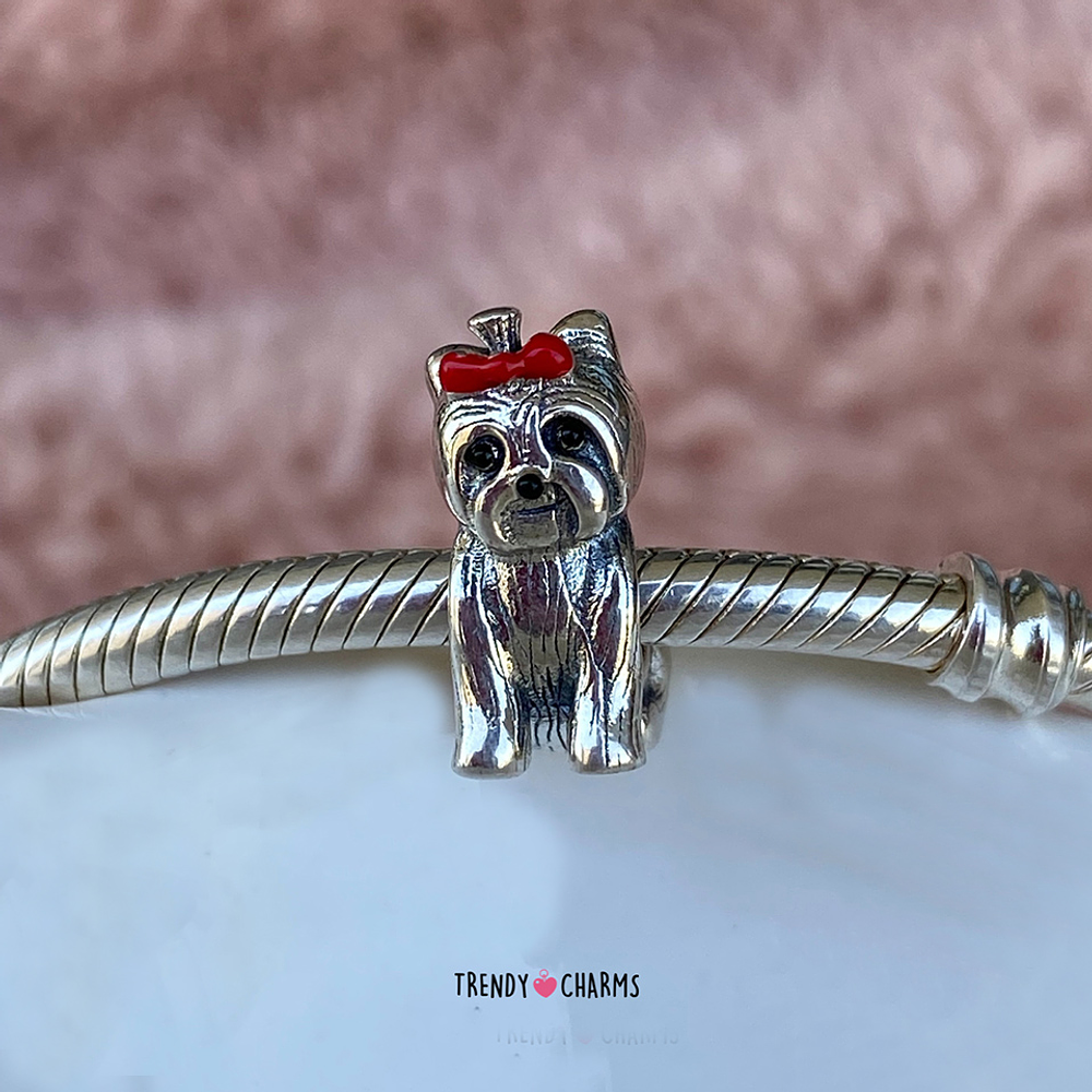 Charm Perro Yorkshire Plata 925