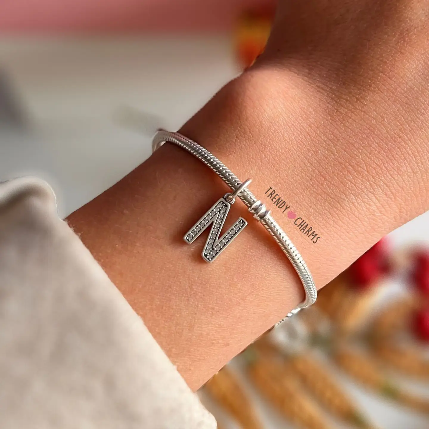 Charm Letra N Plata 925 1