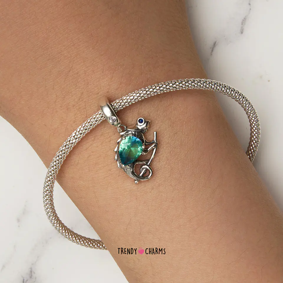 Charm Camaleón de Evolución Plata 925 1