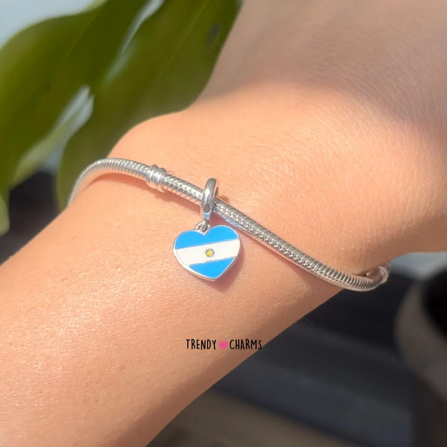 Charm Bandera Argentina, Plata 925 2