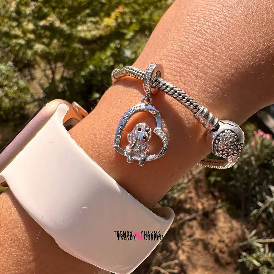 Charm Perro Basset Hound, Plata 925 2