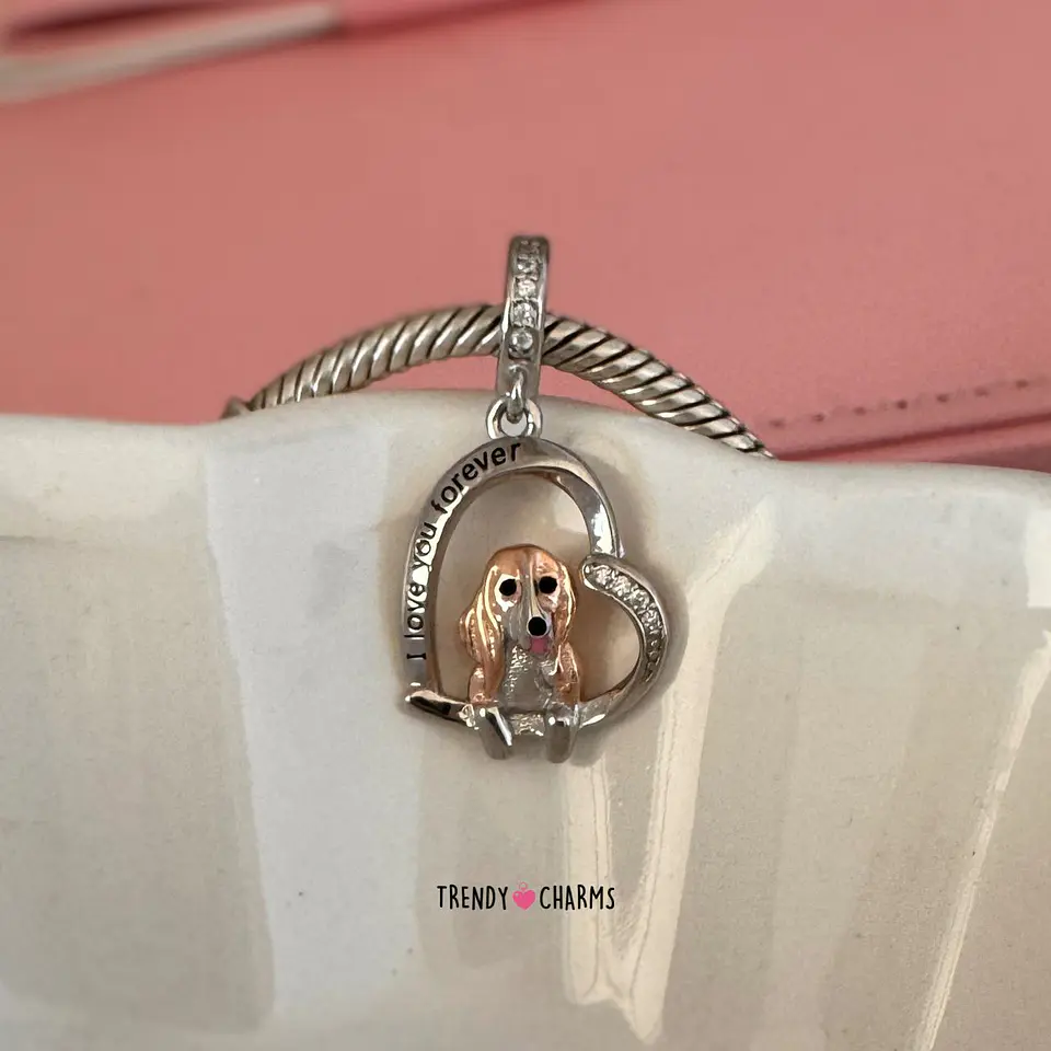 Charm Perro Basset Hound, Plata 925 1