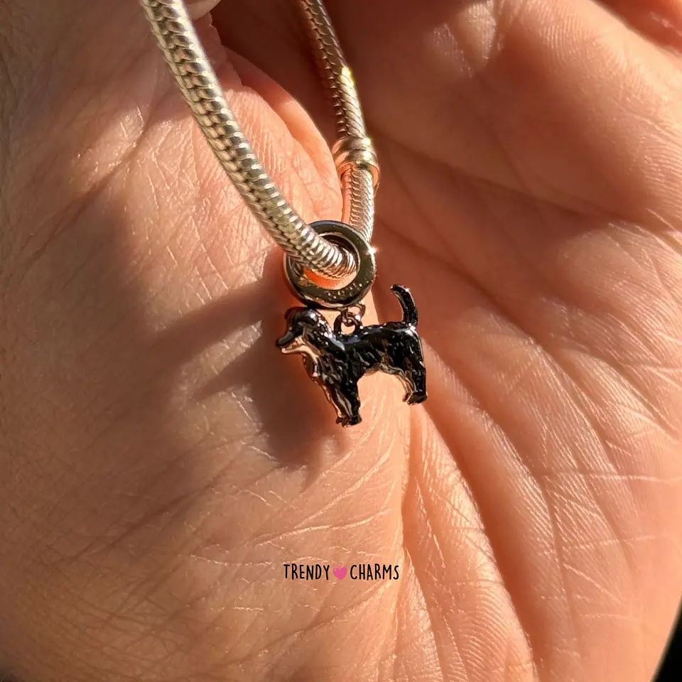 Charm Perro Border collie, Plata 925 1