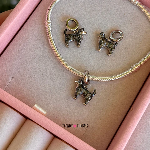 Charm Perro Border collie, Plata 925