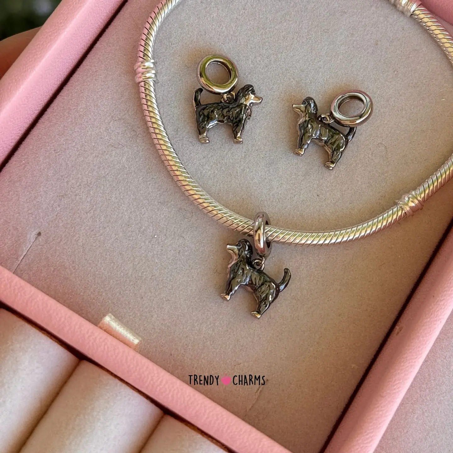 Charm Perro Border collie, Plata 925 2