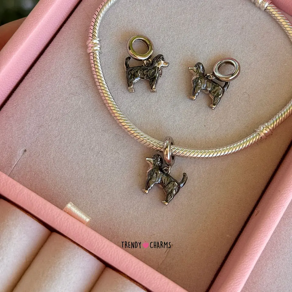 Charm Perro Border collie, Plata 925 2