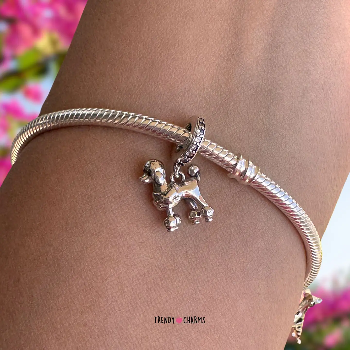 Charm Perro Poodle Elegante Plata 925 1
