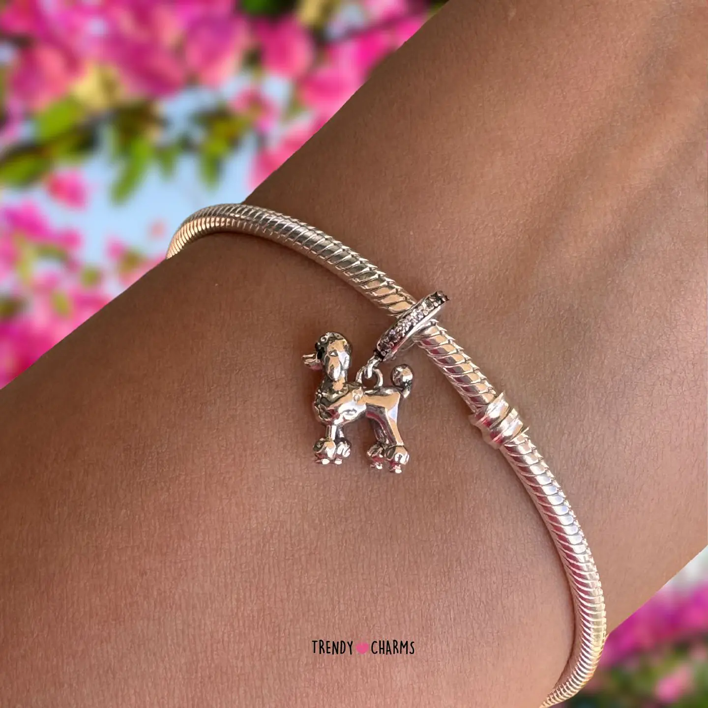 Charm Perro Poodle Elegante Plata 925 3