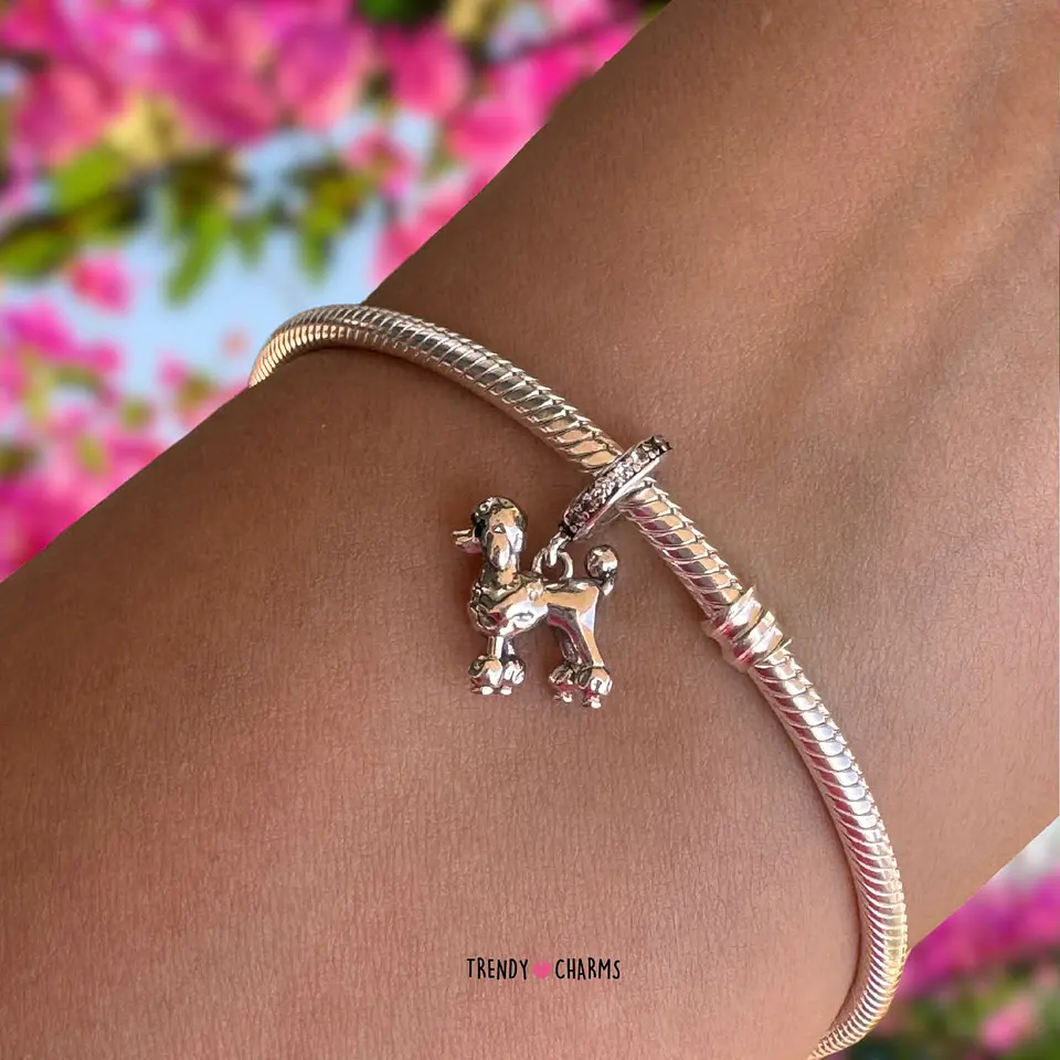 Charm Perro Poodle Elegante Plata 925 3