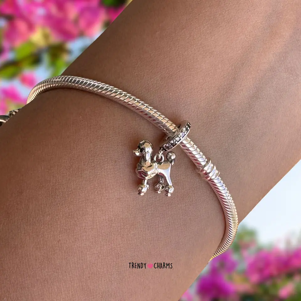 Charm Perro Poodle Elegante Plata 925 4