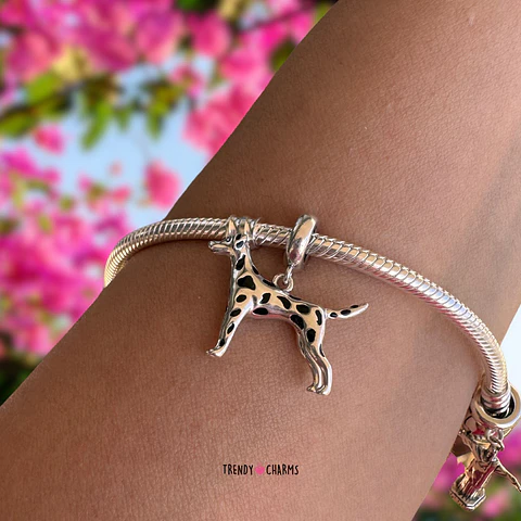 Charm Perro Dálmata Te amo Plata 925