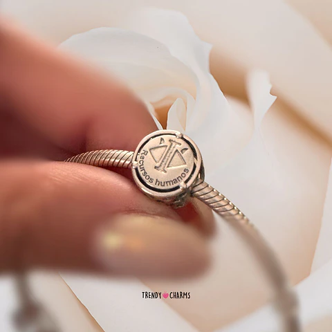 Charm Profesión Recursos Humanos Plata 925