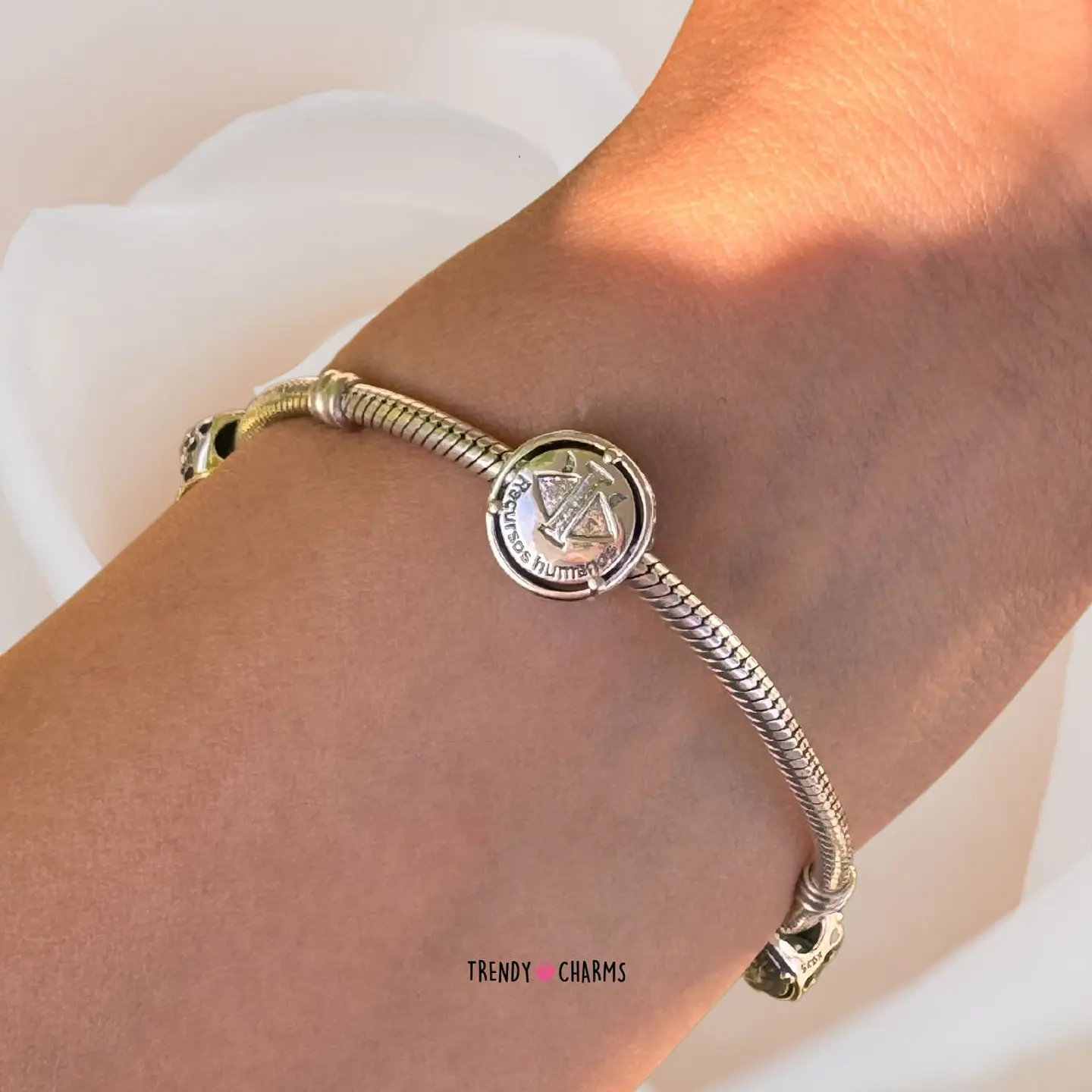 Charm Profesión Recursos Humanos Plata 925 2