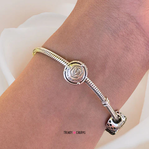 Charm Profesión Veterinaria Plata 925