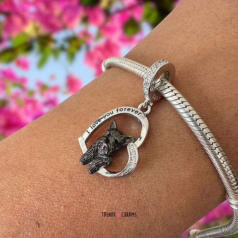 Charm Scottish Terrier Escocés Te Amo Plata 925