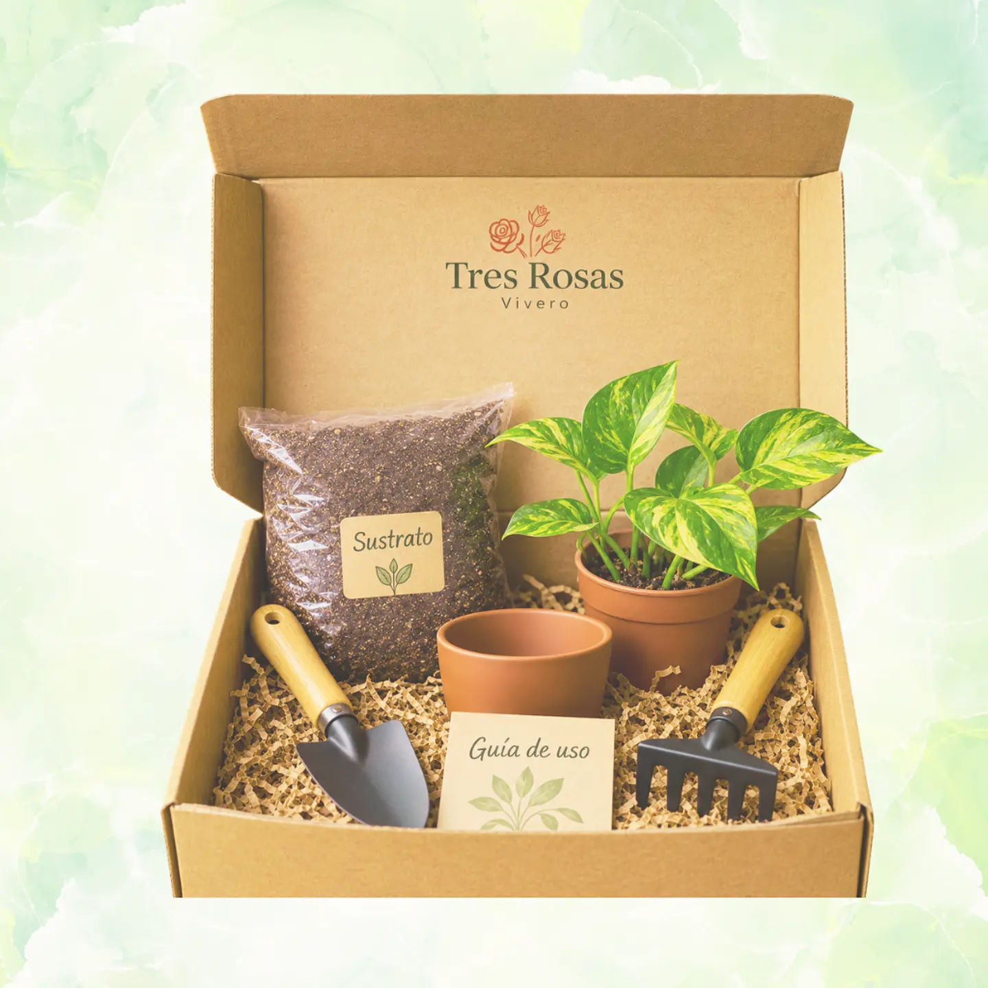 Kit de Jardinería con Planta 1