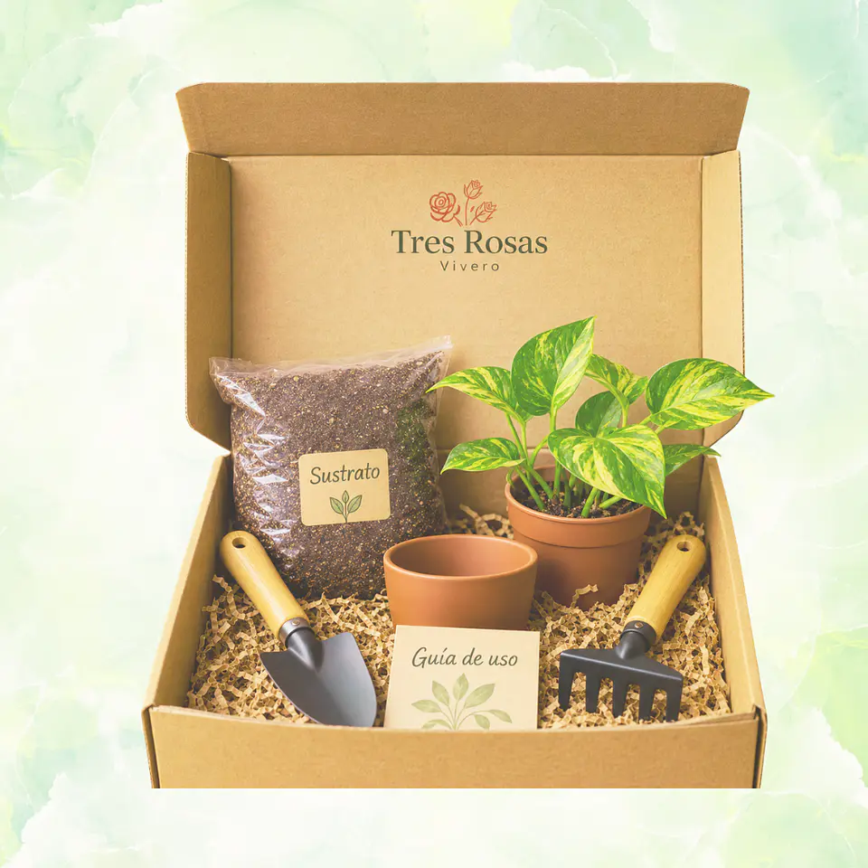 Kit de Jardinería con Planta 1