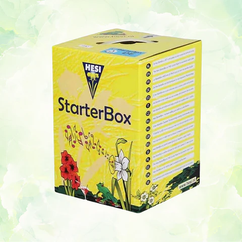Starter Box Suelo HESI