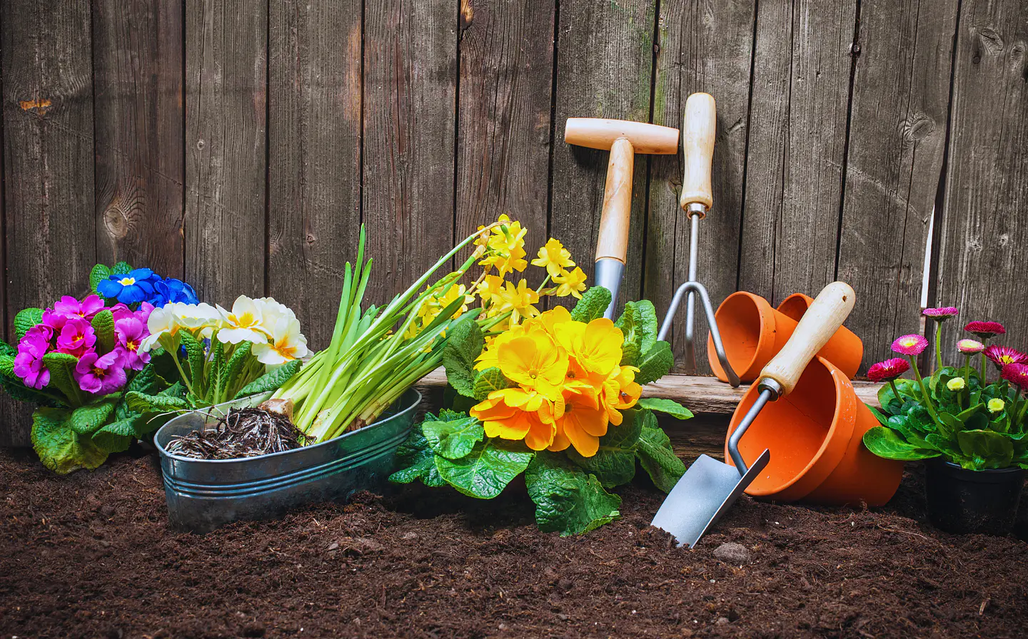 Esencial para los amantes de las plantas