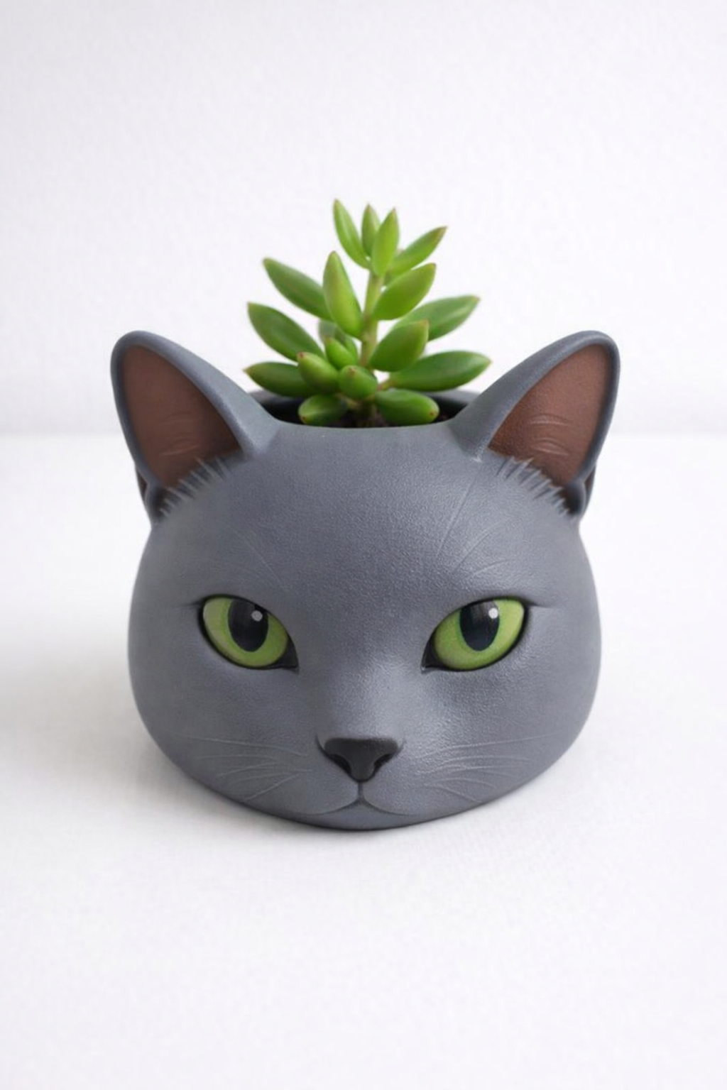 Macetero Mascota 1