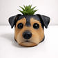 Macetero Mascota - Miniatura 3
