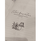 Cuaderno de lecturas 11