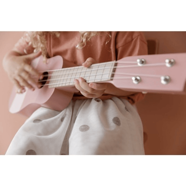 Guitarra Rosa  2