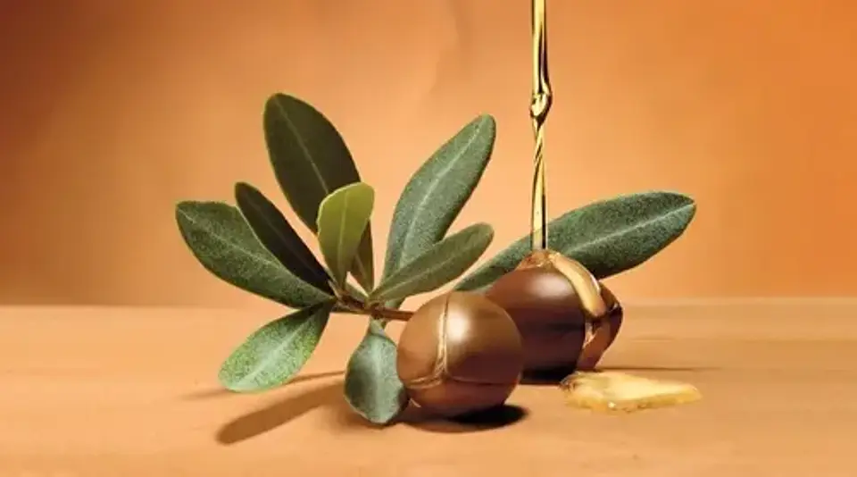 Mascara Reparadora Le Petit Olivier para Cabello Seco y Dañado con Oliva, Karité y Argán 330 mL 3