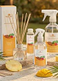 Biogreen Difusor Mango Y Ananá 100 Ml Varillas - Miniatura 2