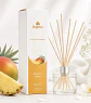 Biogreen Difusor Mango Y Ananá 100 Ml Varillas - Miniatura 3