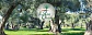 Balsamo De Labios Con Manteca De Karite 4g Le Petit Olivier - Miniatura 4