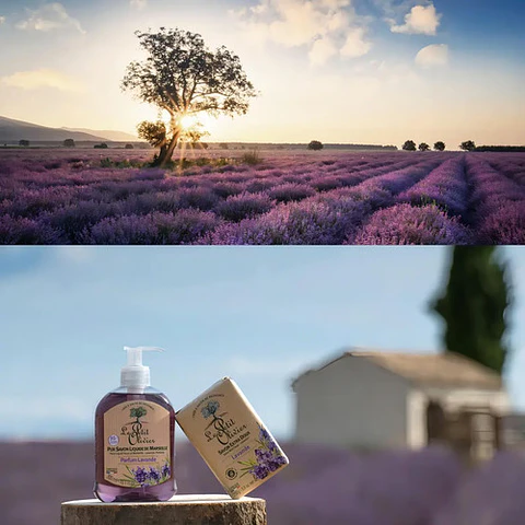 Jabon Liquido De Marsella Lavanda 300ml Le Petit Olivier